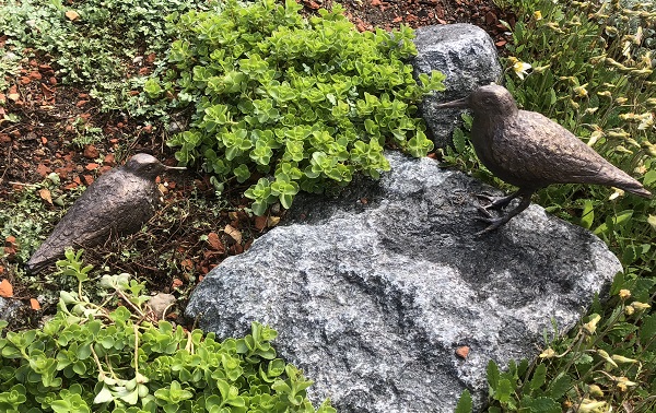 Natur planter sten fugleskulpturer